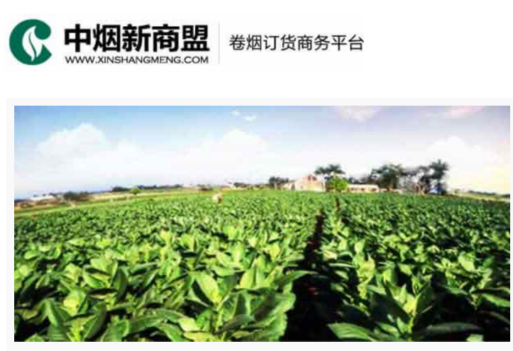 中烟新商盟卷烟订货商务平台-易彩堂官网